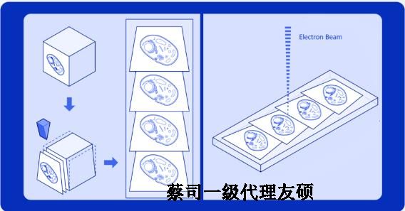 河池蔡司河池扫描电镜