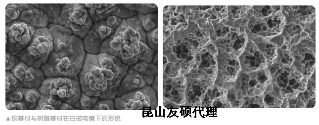 河池蔡司河池扫描电镜